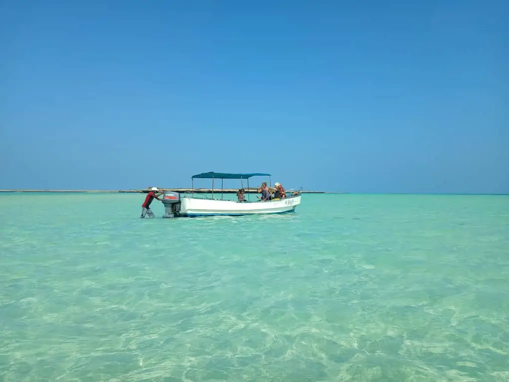 Djibouti Best destination MOUSHA ISELAND THING TO DO IN DJIBOUTI Djibouti best destinations east africa , Abourma Rock Art , djibouti 7 day tour, guide, Horn of Africa tours, Djibouti travel itinerary, guided tours in Djibouti , djibouti trips ; Djibouti Tour Packages ; Djibouti travel packages Best tours in Djibouti Djibouti adventure tours djibouti trips snorkeling mousha island Snorkeling Moucha Island coral reef view Djibouti snorkeling tour lunch on the beach